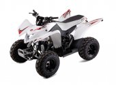 2009 Aeon Cobra 50 photo